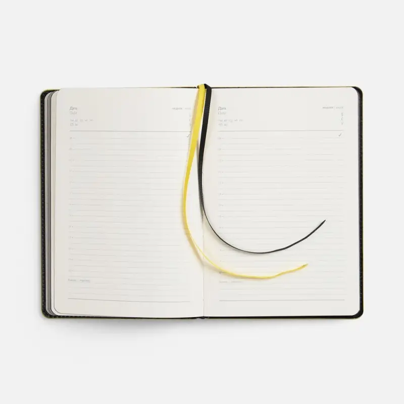 Ежедневник Alanis, недатированный, черный c желтым Ежедневник Alanis, недатированный, черный c желтым