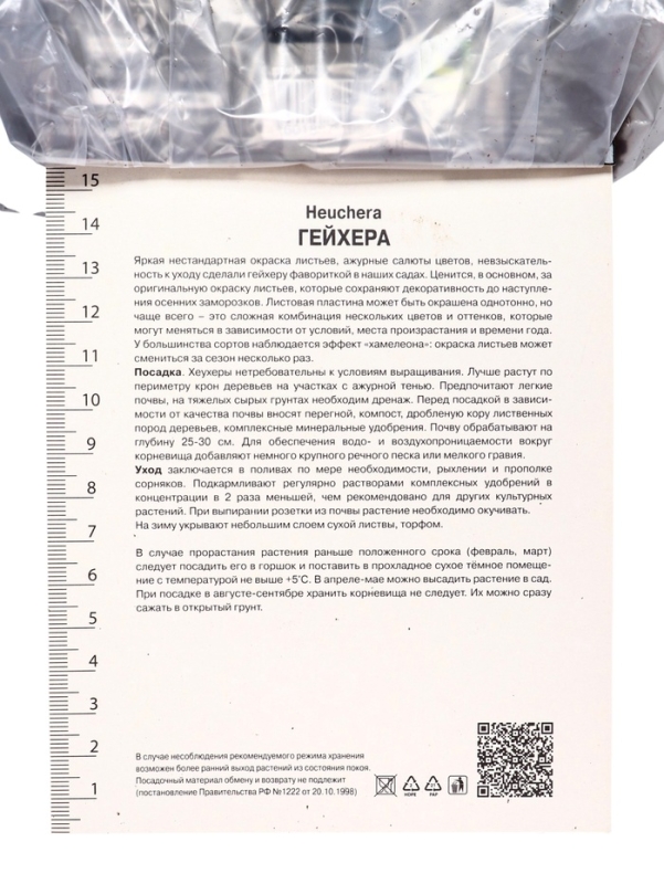 Гейхера (Хеухера) гибридная Берри Смути, корневище в пакете с торфогрунтом, р-р I, 1 шт. Гейхера (Хеухера) гибридная Берри Смути, корневище в пакете с торфогрунтом, р-р I, 1 шт.