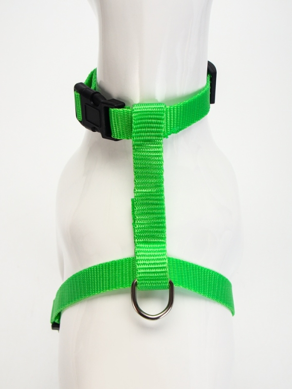 Комплект для кошек, ширина 1,5 см, ОШ 16,5-27 см, ОГ 21-35 см, поводок 120 см, зелёный