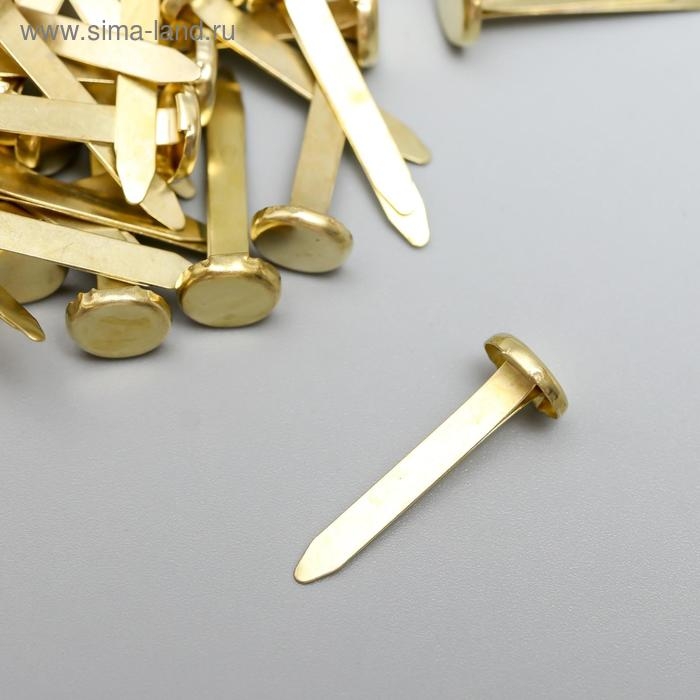 Брадсы для творчества металл  Брадсы для творчества металл "Золотые" набор 50 шт 2,5 см
