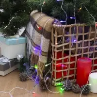 Гирлянда &laquo;Нить&raquo; 2.5 м, IP20, прозрачная нить, 25 LED, свечение RG/RB, мигание, 220 В