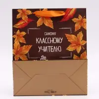 Набор  ламинированных вертикальных пакетов &laquo;Учитель года&raquo;, 3 шт, ML 27 &times; 23 &times; 11,5 см