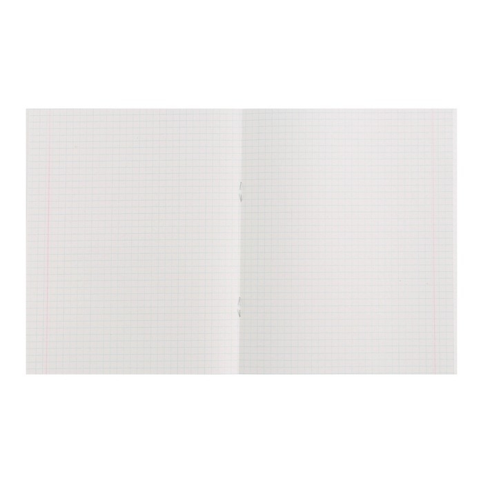 Комплект тетрадей из 4 штук, 48 листов в клетку Calligrata Комплект тетрадей из 4 штук, 48 листов в клетку Calligrata "Black and White", обложка мелованная бумага, блок №2, белизна 75% (серые листы)