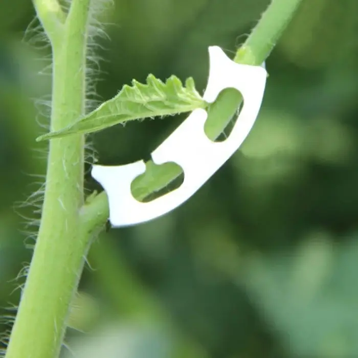 Кистедержатель «Улитка», 3.5 см, набор 50 шт., Greengo