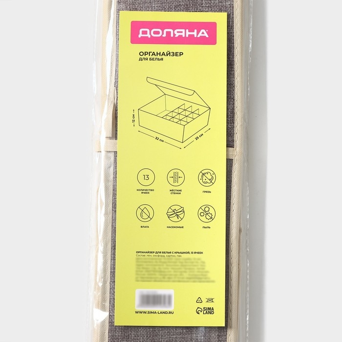 Органайзер для хранения белья Доляна «Тео», 13 ячеек, с прозрачной крышкой, 32×23×12 см, цвет серый Органайзер для хранения белья Доляна «Тео», 13 ячеек, с прозрачной крышкой, 32×23×12 см, цвет серый