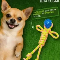 Игрушка канатная &laquo;Человечек&raquo; с мячиком, 75 г, до 24 см, цвет МИКС