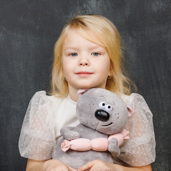 Мягкая игрушка  Мягкая игрушка "Котофей и Сосиска", 24 см MT-MRT-D04202313-24