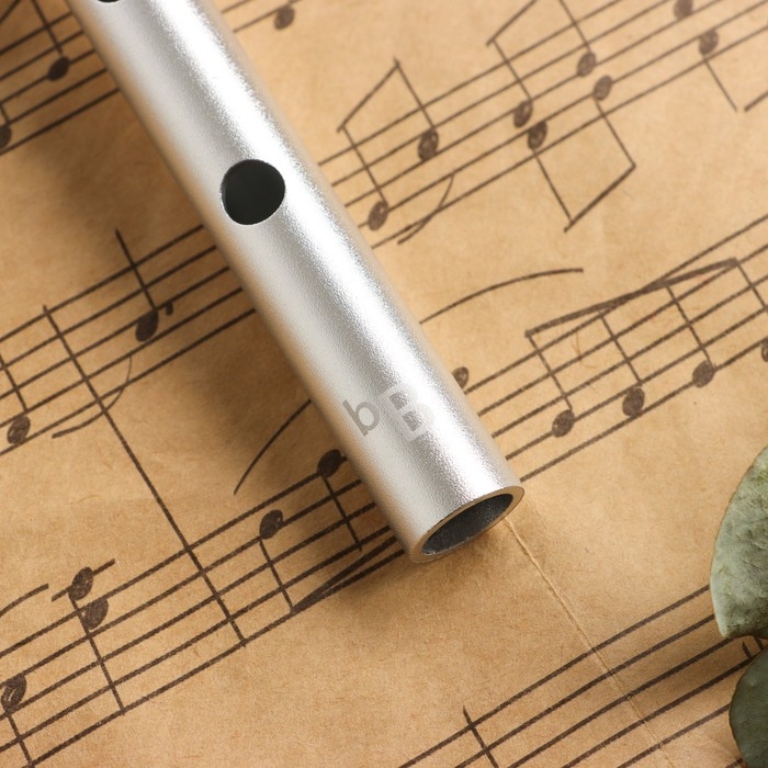 Флейта Music Life bB, серебристая, 37,5 см Флейта Music Life bB, серебристая, 37,5 см