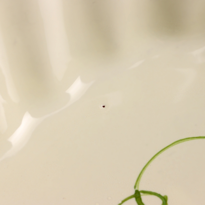 Емкость для запекания Емкость для запекания "Волна круглая" 2л / 25х8,5см, горошек