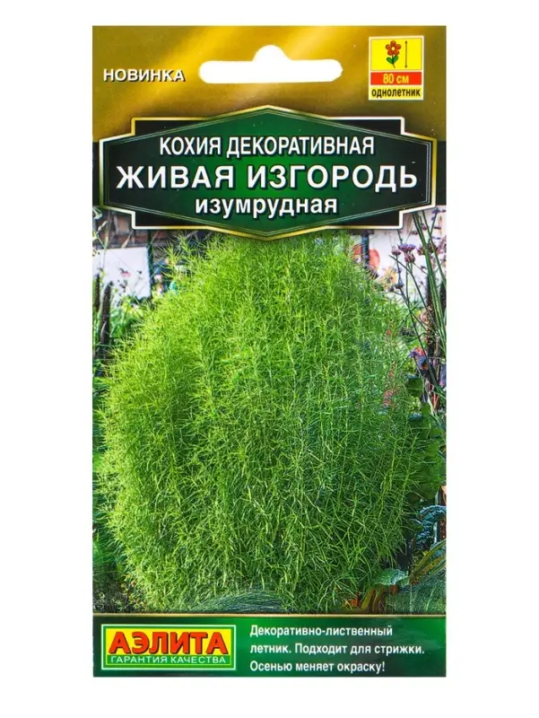Семена цветов Кохия Живая изгородь изумрудная Золотая серия, Ц/П,0,1 г Семена цветов Кохия Живая изгородь изумрудная Золотая серия, Ц/П,0,1 г