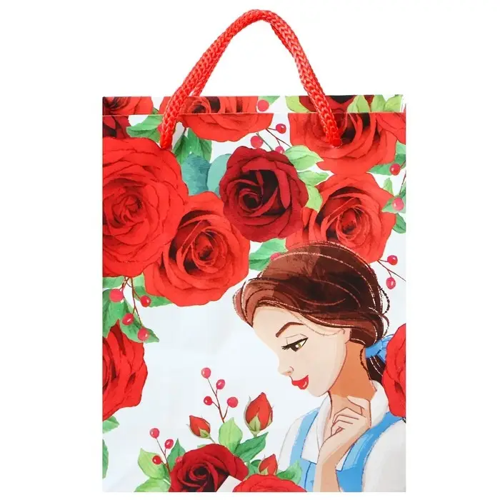 Пакет подарочный &laquo;Подарок для тебя&raquo;,12х15х5.5 см, упаковка, Принцессы