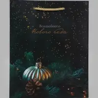 Пакет подарочный &laquo;Волшебного Нового года&raquo;, 18&times;10&times;22.3 см