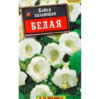Семена цветов Кобея белая , Ц/П,0,45 г Семена цветов Кобея белая , Ц/П,0,45 г