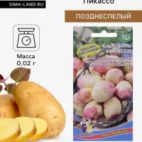 Семена Картофель &laquo;Пикассо&raquo;, 0.02 г, &laquo;Уральский дачник&raquo;