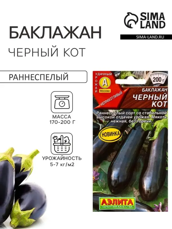 Семена Баклажан &laquo;Чёрный кот&raquo;, 0.1 г, &laquo;Аэлита&raquo;