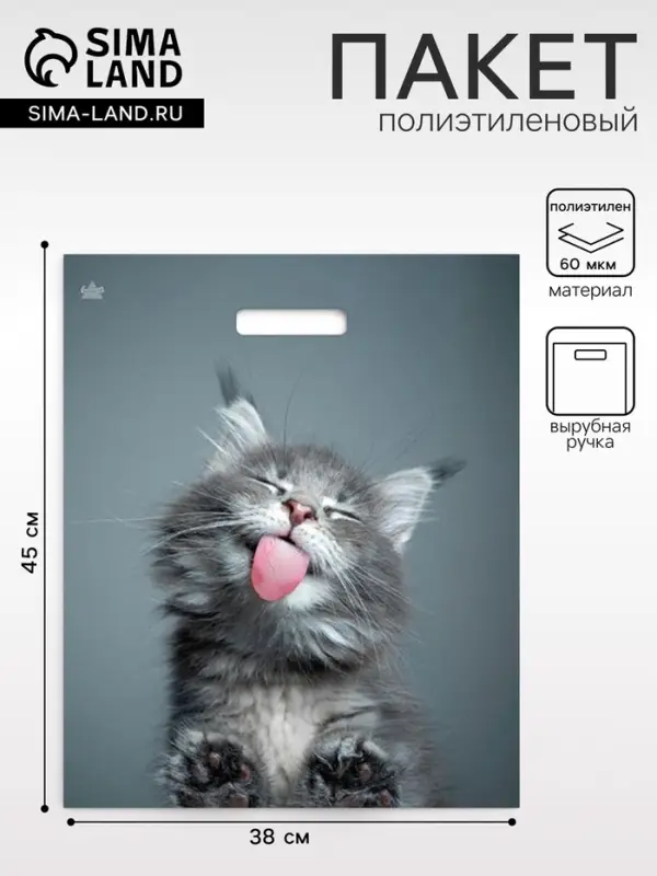 Пакет &laquo;Кот&raquo;, полиэтиленовый, с вырубной ручкой, 38&times;45 см, 60 мкм