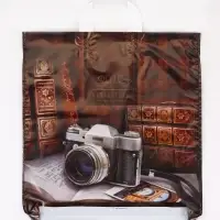 Пакет подарочный &laquo;Библиотека&raquo;, полиэтиленовый с петлевой ручкой, 38&times;42 см, 40 мкм