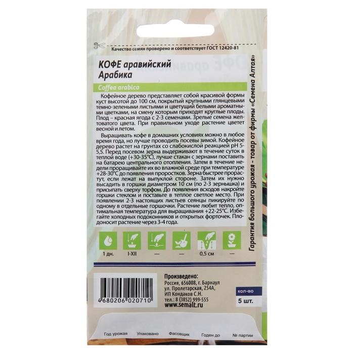 Семена цветов Кофе  Семена цветов Кофе "Арабика ", ц/п,  5 шт.