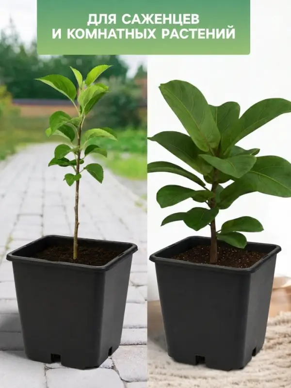 Горшок для рассады, 5 л, 18.5&times;18.5&times;20 см, пластик, чёрный, Greengo