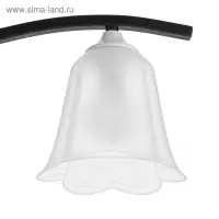 Плафон универсальный «Цветок» Е14/Е27 прозрачный 14×14×13 см Плафон универсальный «Цветок» Е14/Е27 прозрачный 14×14×13 см