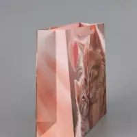 Пакет подарочный ламинированный горизонтальный &laquo;Котики&raquo;, 40&times;31&times;11.5 см