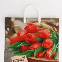 Пакет "Спасибо, полиэтиленовый, пластиковая ручка 37х35 см 90 мкм Пакет "Спасибо, полиэтиленовый, пластиковая ручка 37х35 см 90 мкм