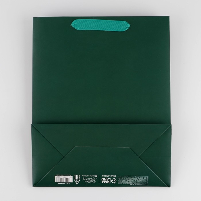Пакет подарочный ламинированный, упаковка, «Изумрудный», M 26 х 30 х 9 см