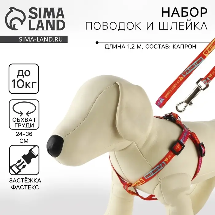 Поводок «Дикий и пушистый» 120×1 см, шлейка 24-36 см