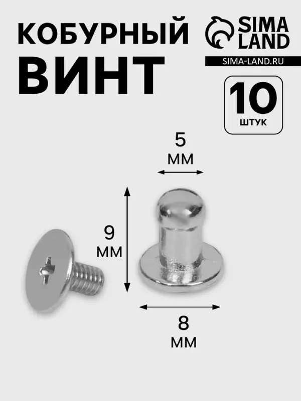 Кобурный винт d=5/8&times;9 мм, 10 шт., цвет серебряный