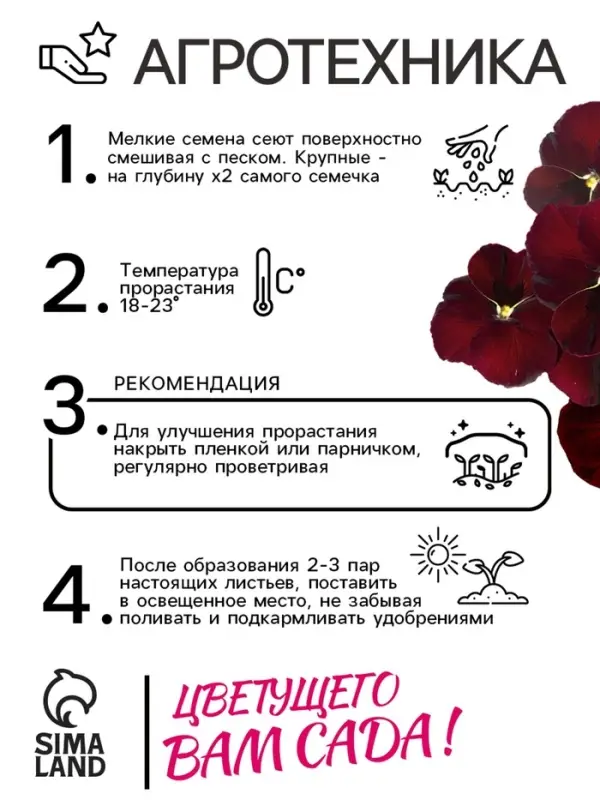 Семена Виола  Семена Виола "Красное вино", 0,1 г