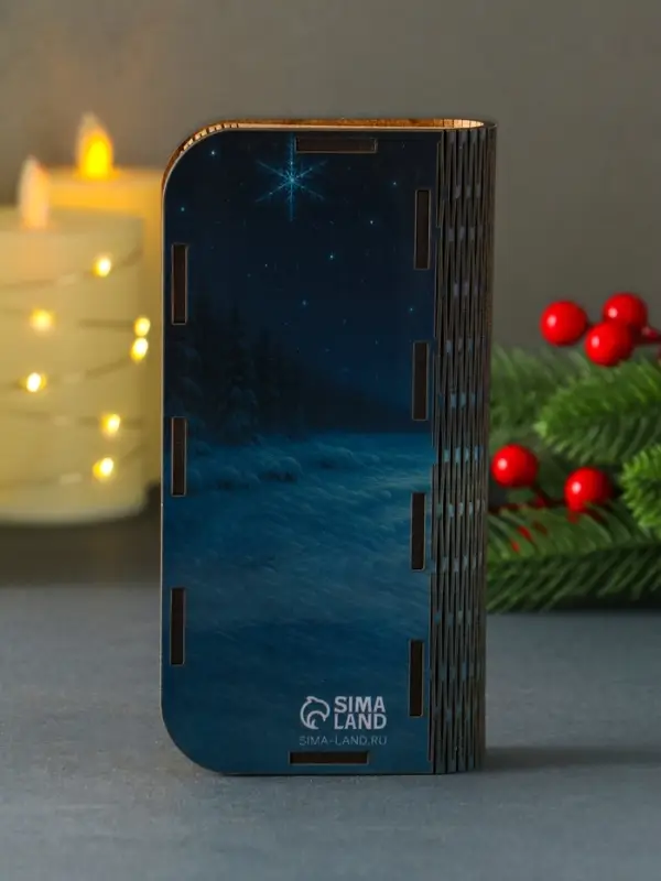 Новогодняя шкатулка "Достатка" 17х8,5 см