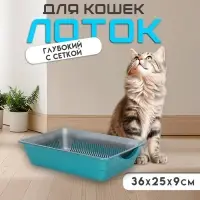 Туалет глубокий с сеткой 36&times;25&times;9 см, серый/бирюзовый