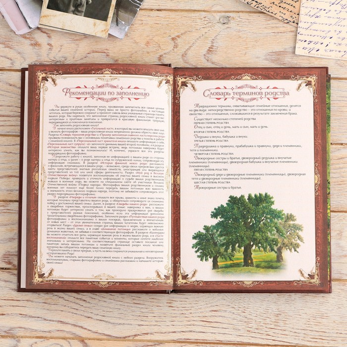 Родословная книга в шкатулке «Древо жизни», 56 листов, 20 х 26 см. Родословная книга в шкатулке «Древо жизни», 56 листов, 20 х 26 см.
