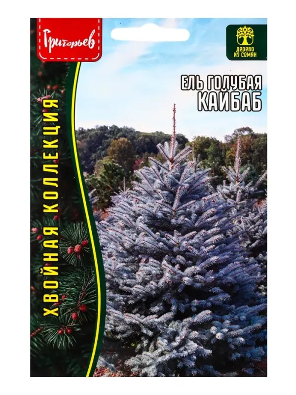 Семена Ель голубая &laquo;Кайбаб&raquo;, 15 шт., &laquo;Григорьев&raquo;
