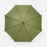 Зонт-трость Jolly Brolly, зеленый (хаки)