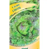 Семена Салат &laquo;Гном&raquo; кочанный, 0.5 г