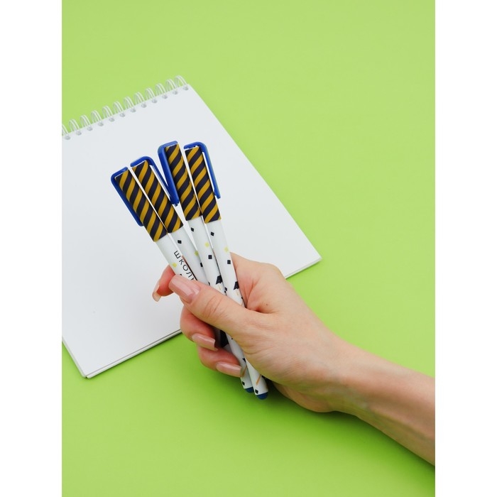 Набор пластиковых ручек  Набор пластиковых ручек "Лучший выпускник школы", синяя паста 0.7 мм, 4 шт