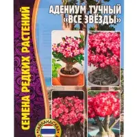 Семена цветов Адениум Все Звёзды    3шт. 12.29 г.