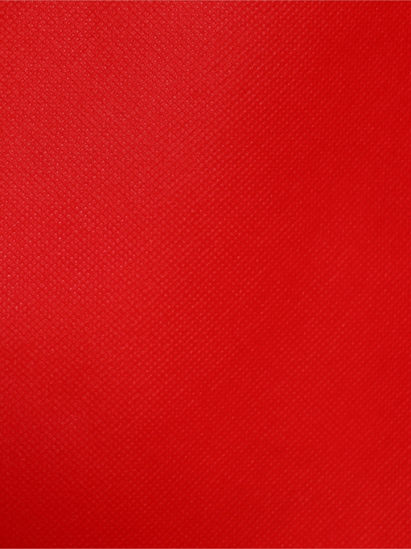 Пакет с петлевой ручкой Пакет с петлевой ручкой "Эко", 35 х 31 х 8 см, красный