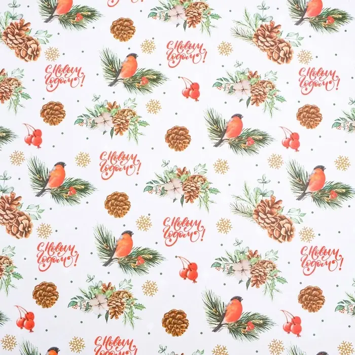 Бумага упаковочная глянцевая двусторонняя "Снегири", 70 х 100 см