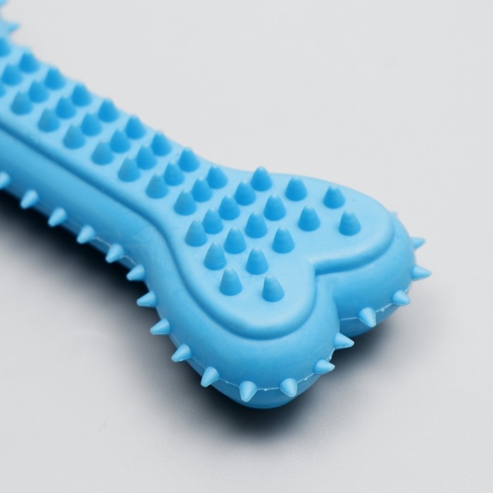 Игрушка жевательная литая Игрушка жевательная литая "Кость для массажа", 11 х 4 х 2 см, голубая