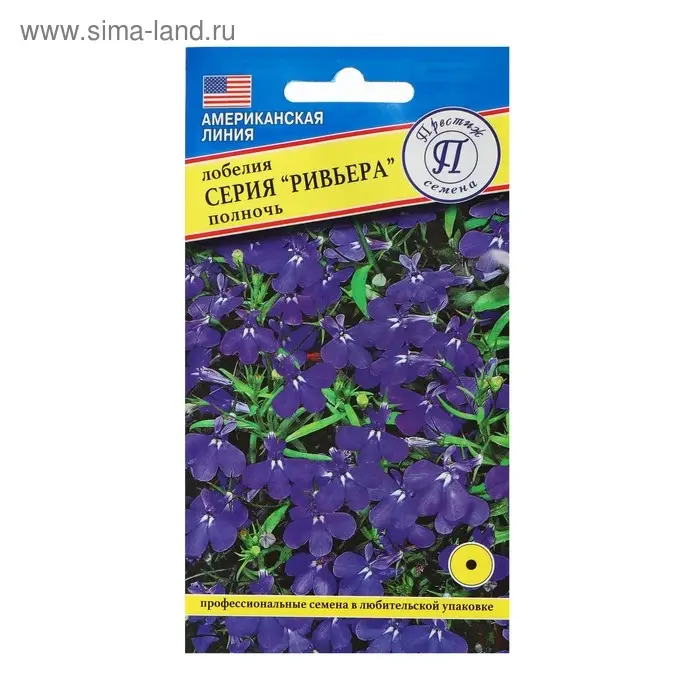 Семена цветов Лобелия кустовая  Семена цветов Лобелия кустовая "Ривьера" Полночь, О, мультидраже 5 шт