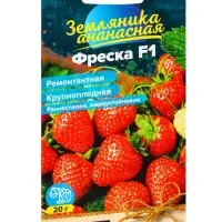 Семена Земляника &laquo;Фреска&raquo;, ремонтантная, 5 шт., &laquo;Семена Алтая&raquo;