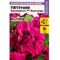 Семена цветов Петуния &laquo;Бургунди Каскадная&raquo;, F1, махровая, 7 шт., &laquo;Семена Алтая&raquo;