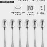 Ложки столовые Доляна &laquo;Эмили&raquo;, длина 20.5 см, набор 6 шт., нержавеющая сталь, серебристые