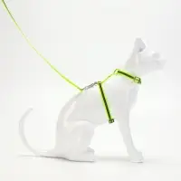Комплект для кошек светоотражающий, ширина 1 см, шлейка 21-35 см, поводок 120 см, зелёный
