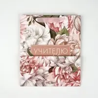 Подарочный набор &laquo;Учителю с любовью&raquo;, пакет и открытка,  ML 27 &times; 23 &times; 11,5 см