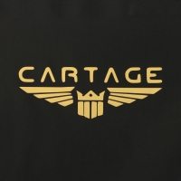 Термосумка Cartage Т-25, черная, 30 л