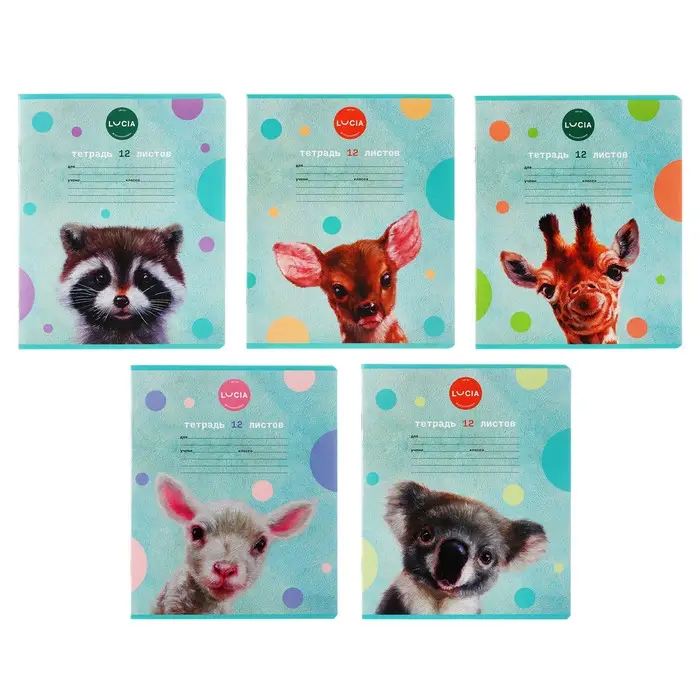 Тетрадь 12 листов в клетку Calligrata, &laquo;Узнай себя!&raquo;, обложка мелованный картон, МИКС