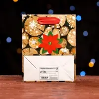 Пакет ламинированный Merry Christmas 11.5×14.5×6 см